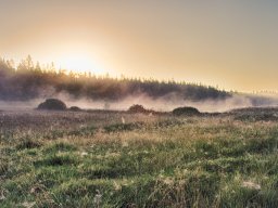 IMGP8333_HDR_Morgenstemning